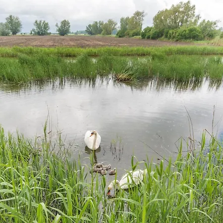 Sloneczna Przystan - Dwupoziomowe