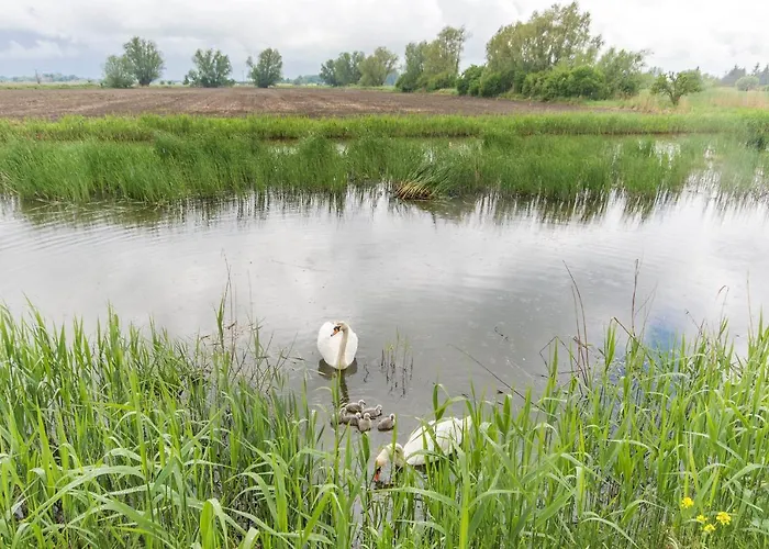 Sloneczna Przystan - Dwupoziomowe